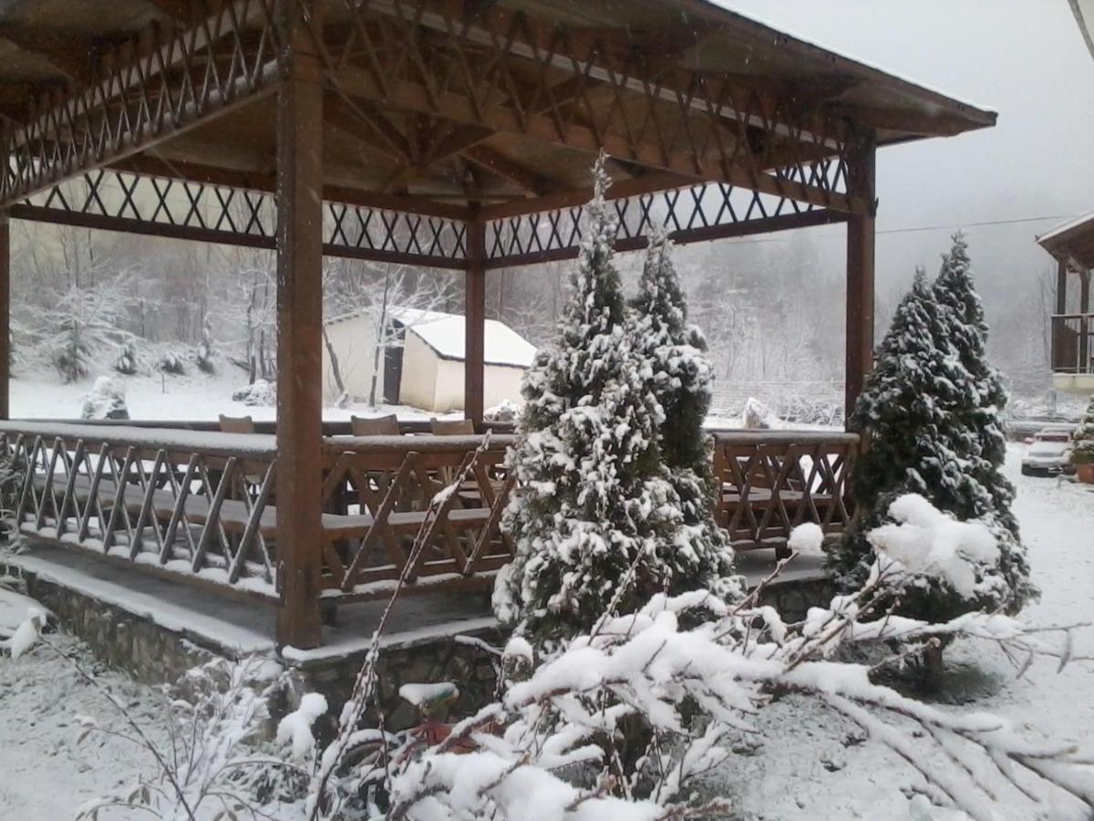 Villa Alexandra Grevena Dış mekan fotoğraf