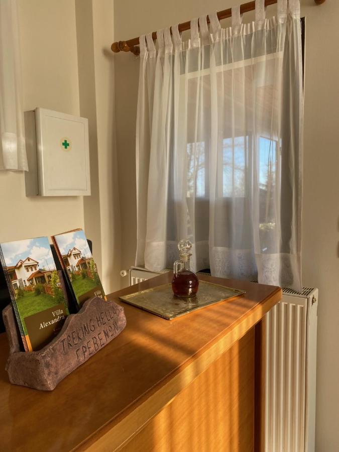 Villa Alexandra Grevena Dış mekan fotoğraf